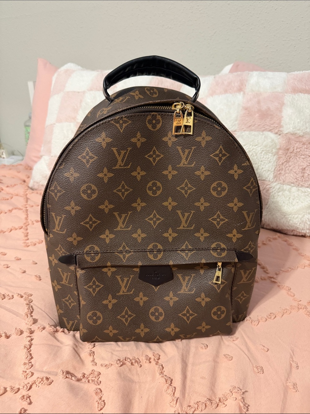 Louis Vuitton Brown Monogram Palm Springs Backpack MM